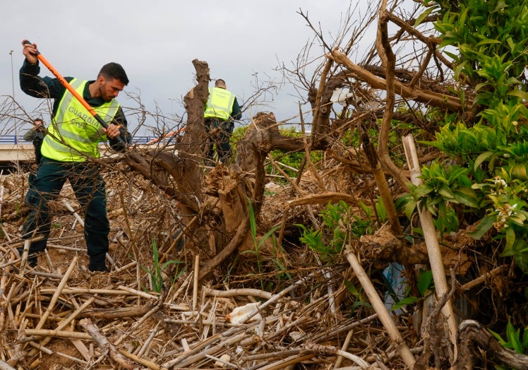 Trabajos de la Guardia Civil durante la búsqueda de los desaparecidos tras la dana.